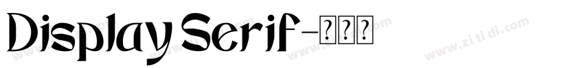 Display Serif字体转换 Display Serif字体转换